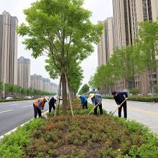 贝博艾佛森 松滋市政绿化属于什么行业类别