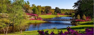 贝博艾佛森 3亩园林景观设计